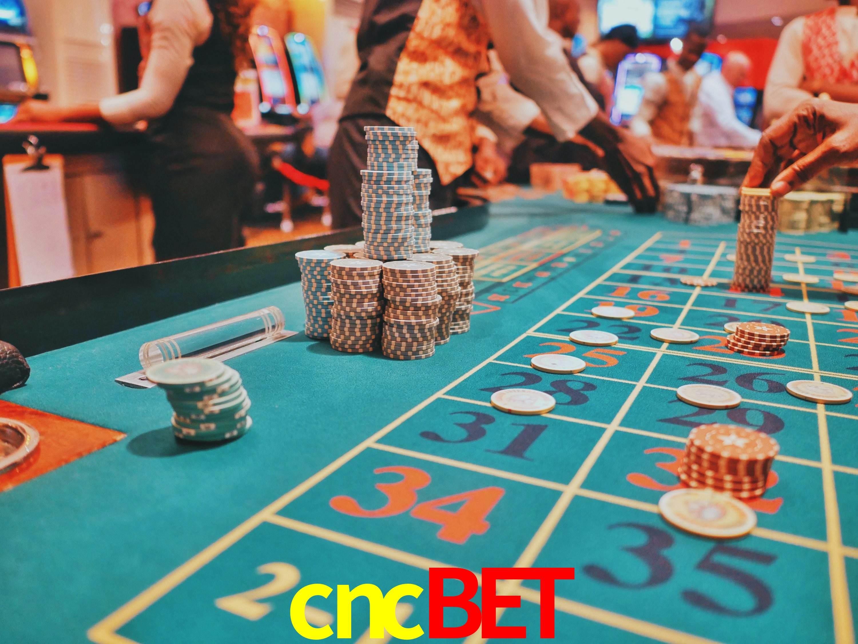 Experiência VIP cncbet