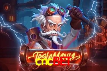 Sistemas de Segurança cncbet